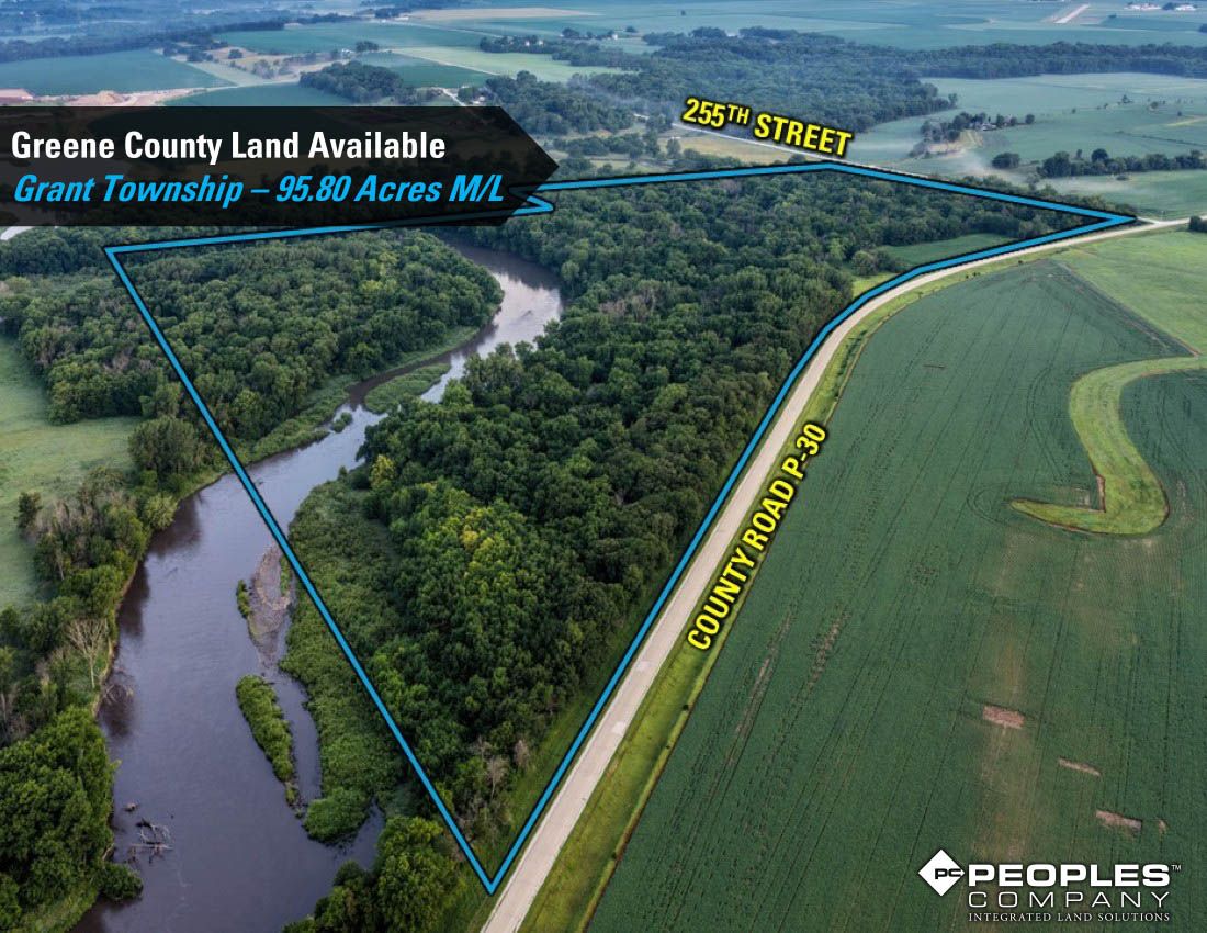 Listing Photo: Greene-Co-Recreational-Land-Available-95-Acres-19559 (2)
